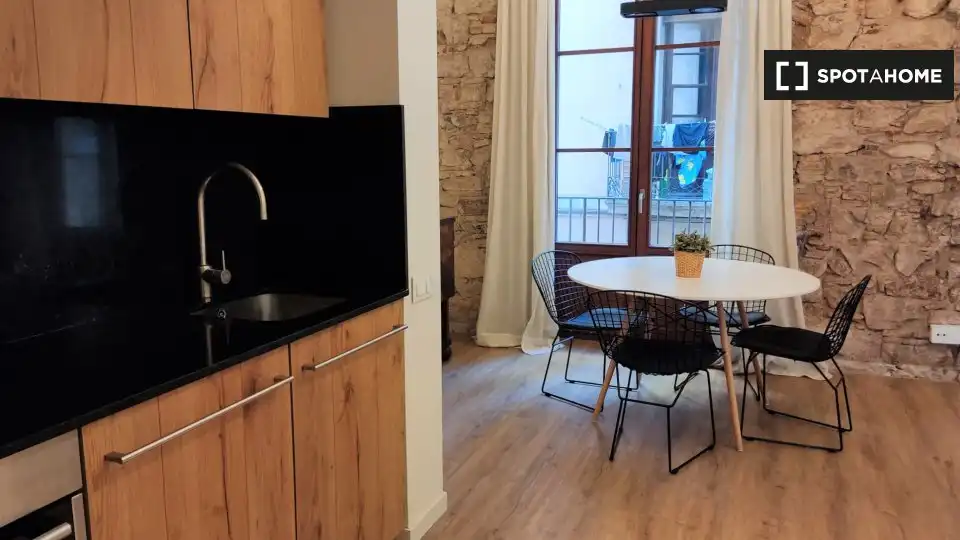 Appartamento con terrazza in affitto a Ciutat Vella, imagen 16