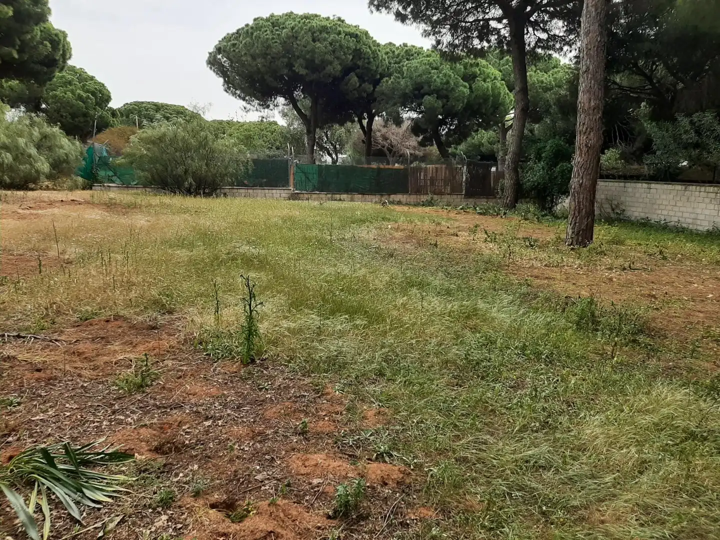 Rustikales Grundstück zum Verkauf in El Juncal - Vallealto, imagen 8