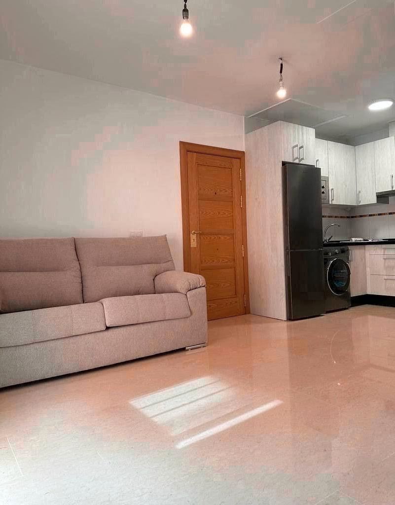 Sala d'estar de Pis de lloguer en Málaga Capital amb Moblat