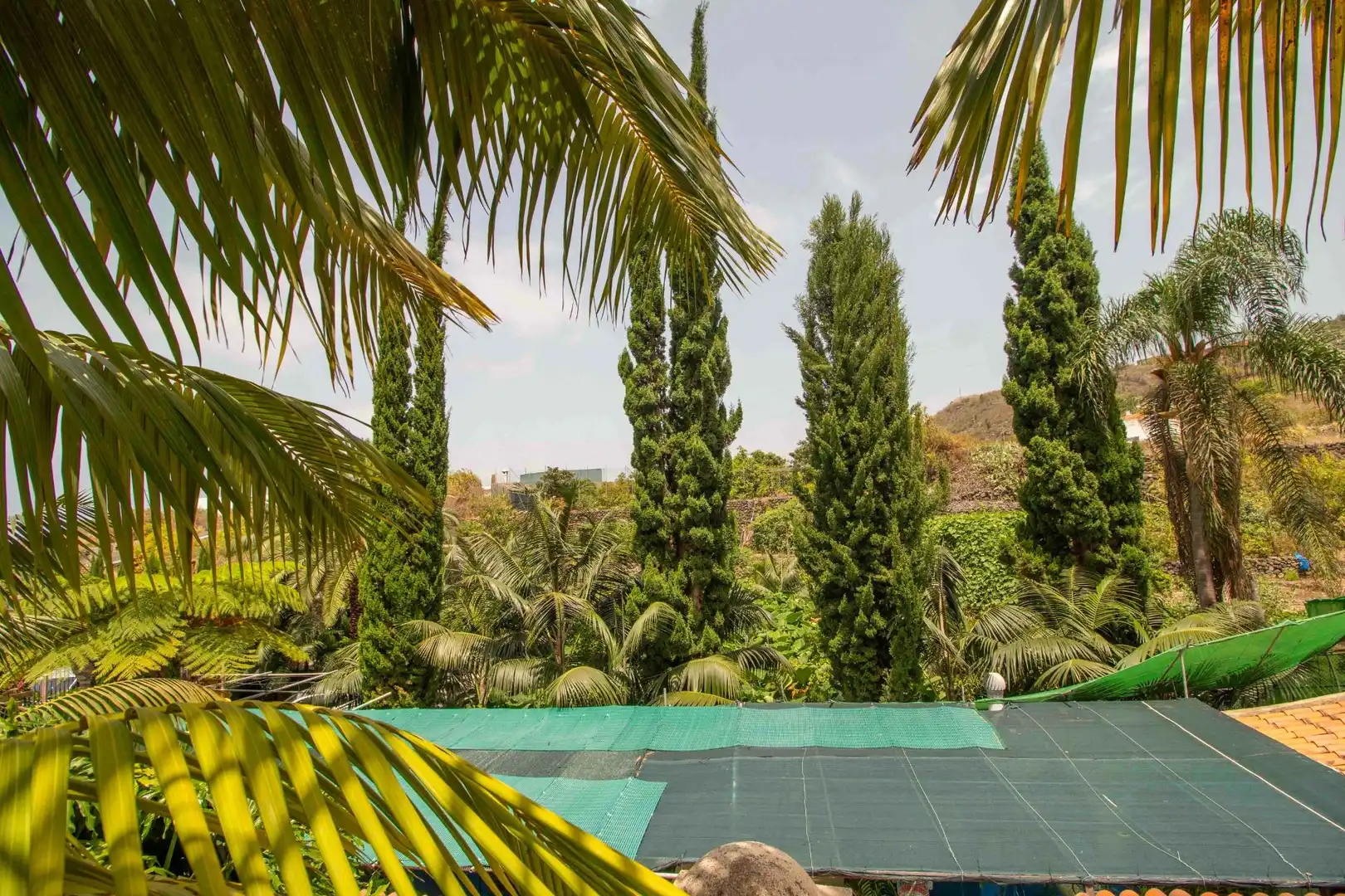 Piscina de Casa o xalet en venda en Icod de los Vinos amb Jardí privat, Terrassa i Traster
