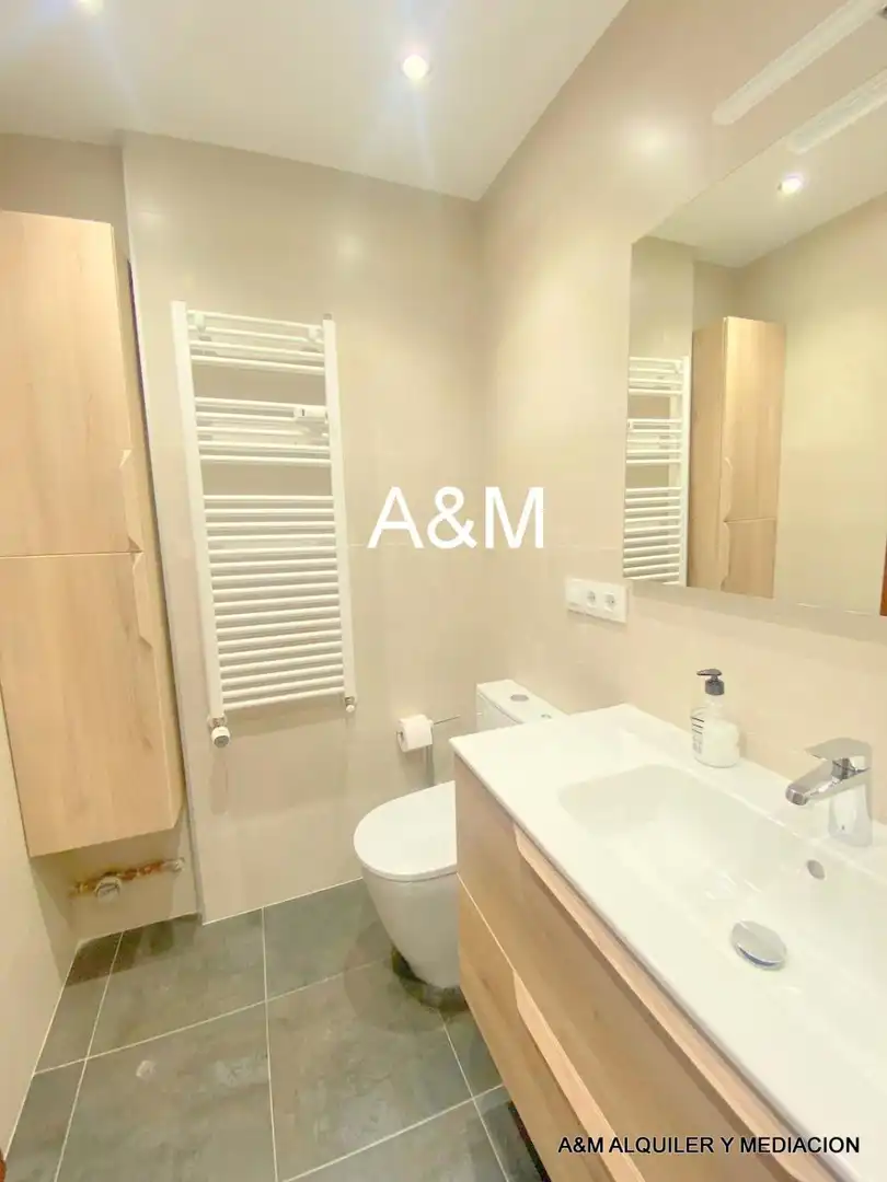 Bathroom of Flat for rent in Vitoria - Gasteiz  with Heating, Parquet flooring and Terrace