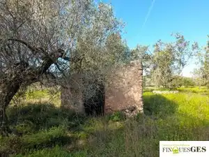 Terreno en venta en La Masó
