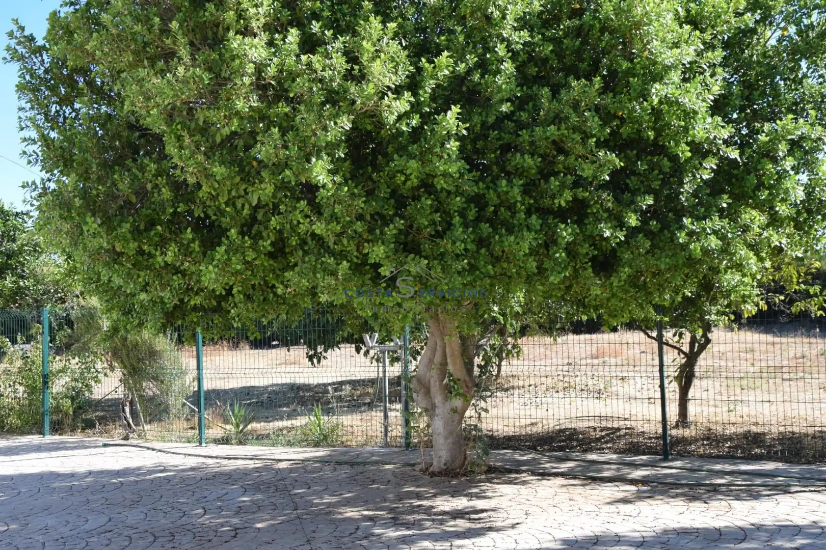 Jardí de Finca rústica en venda en Gibraleón amb Aire condicionat, Terrassa i Piscina