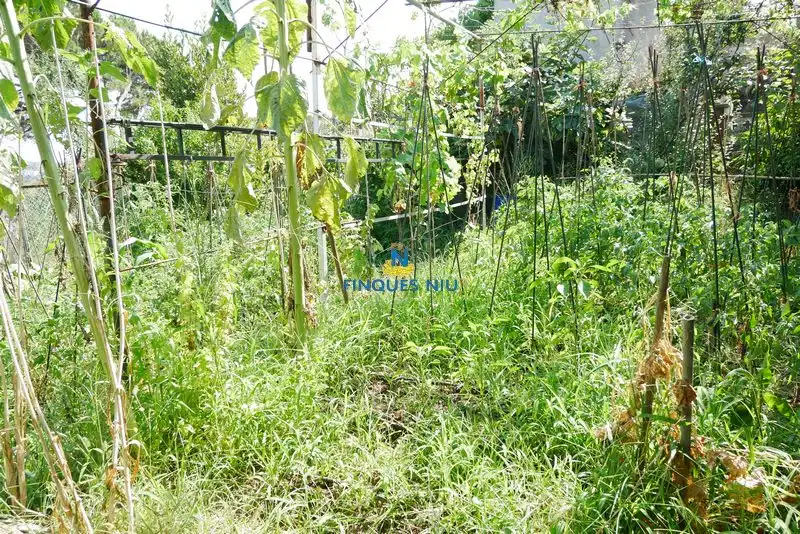 Casa amb jardí en venda a Avinguda Arbres 165, imagen 30
