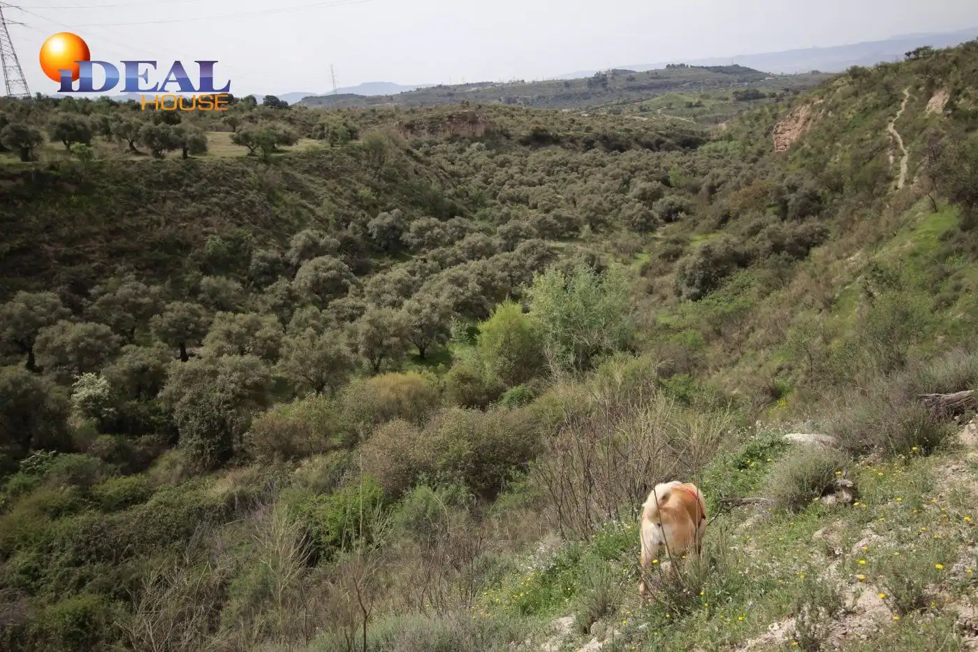 Country homes for sale in Víznar