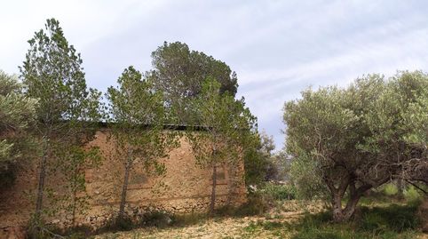 Venta de finca rústica en Xerta