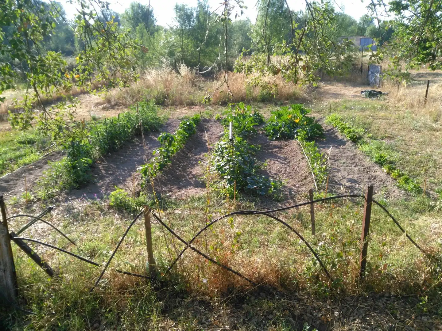 Jardí de Finca rústica en venda en Talayuela amb Aire condicionat, Terrassa i Piscina