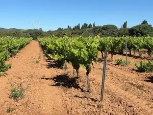 Terreno en venta en Santa Oliva