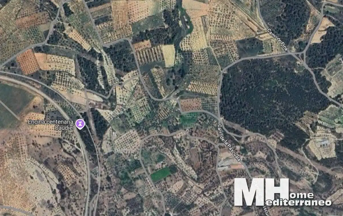 Terreno rustico in vendita a DOMINGO POLIGONO 12 PARCELA 207, imagen 3