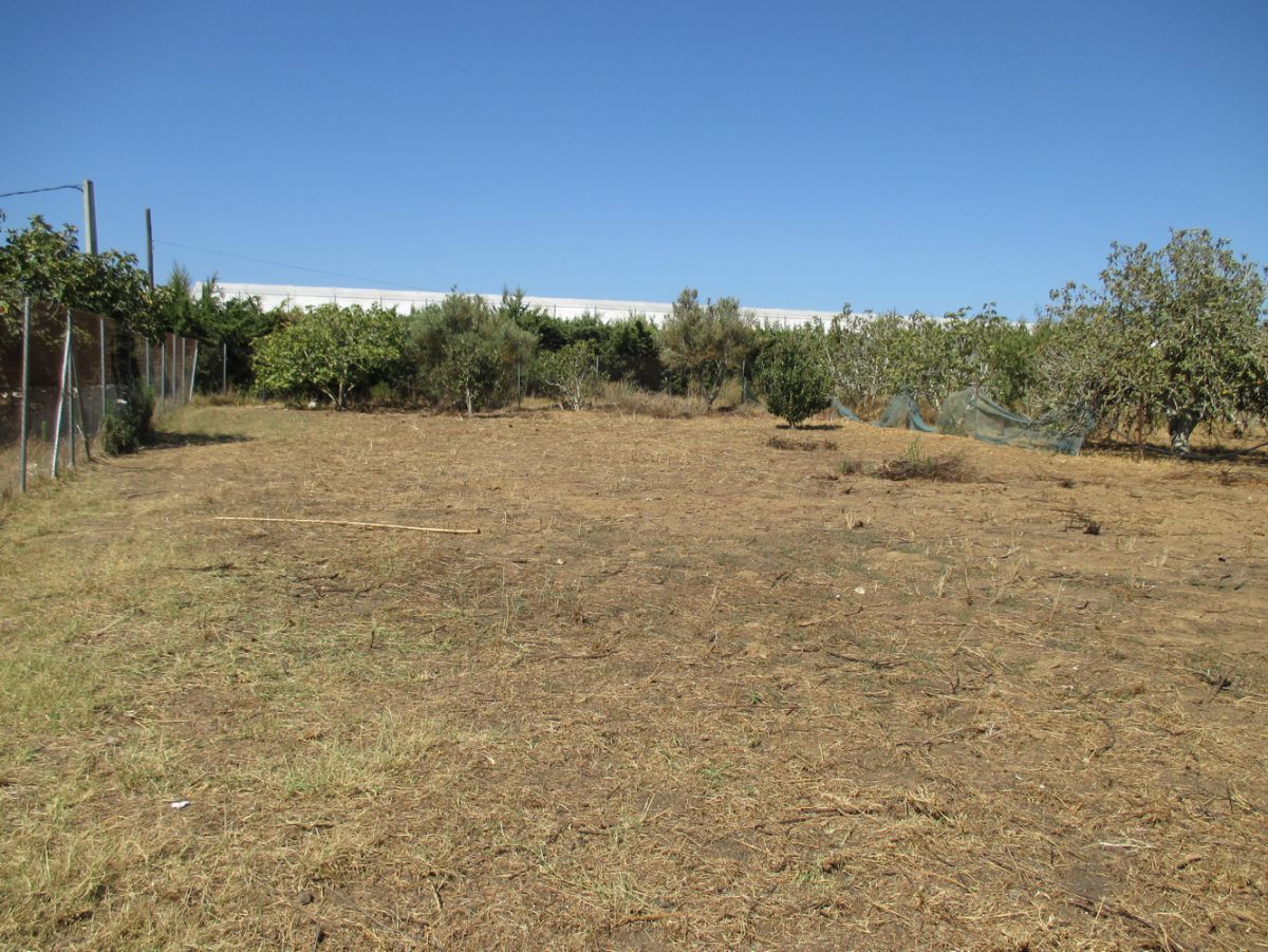 Residential for sale in Conil de la Frontera