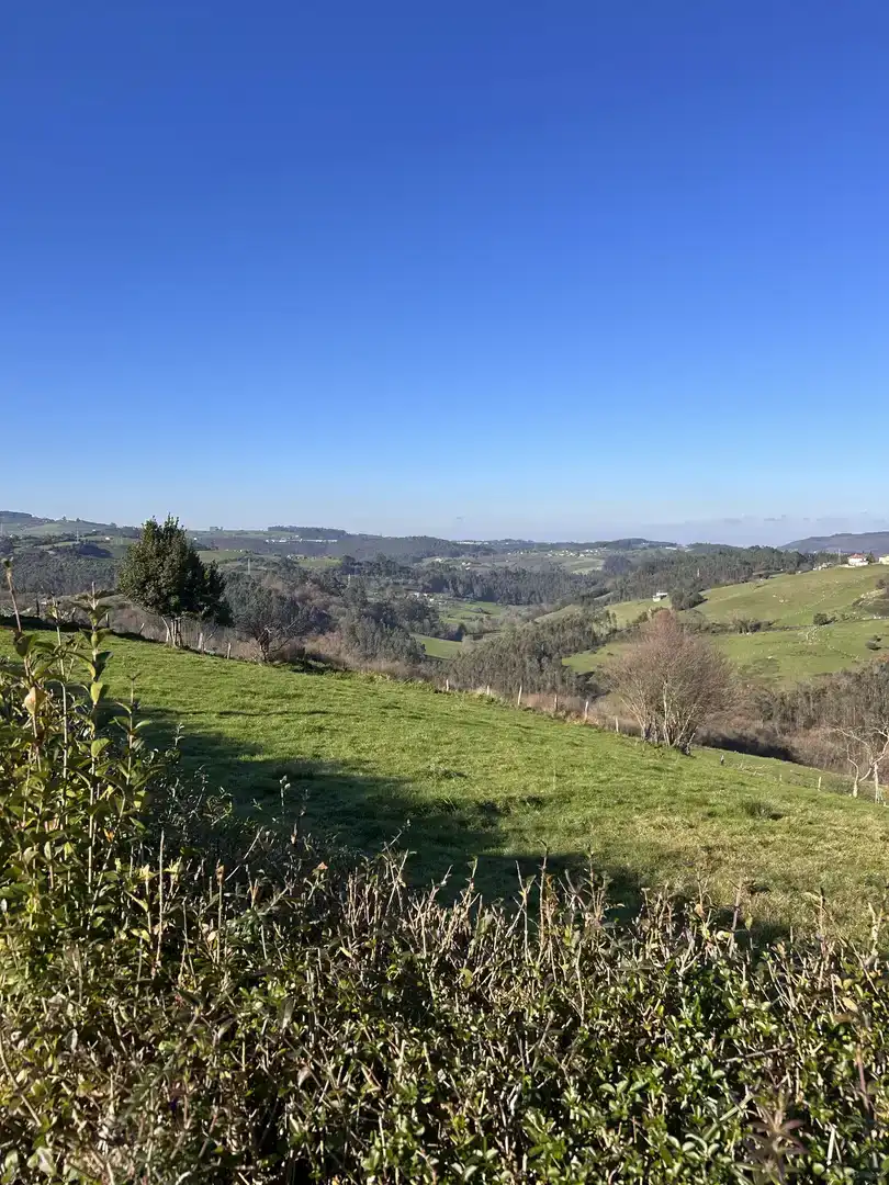 Finca rústica en venda en Gijón 