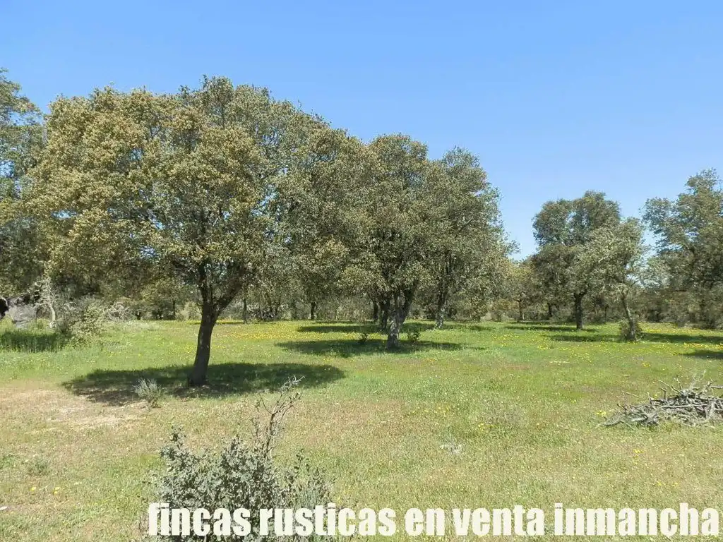 Terreno rustico in vendita a Ciudad Rodrigo, imagen 19