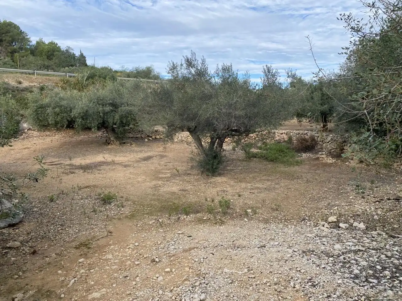 Terreno rustico in vendita a Partida Aguila, imagen 7