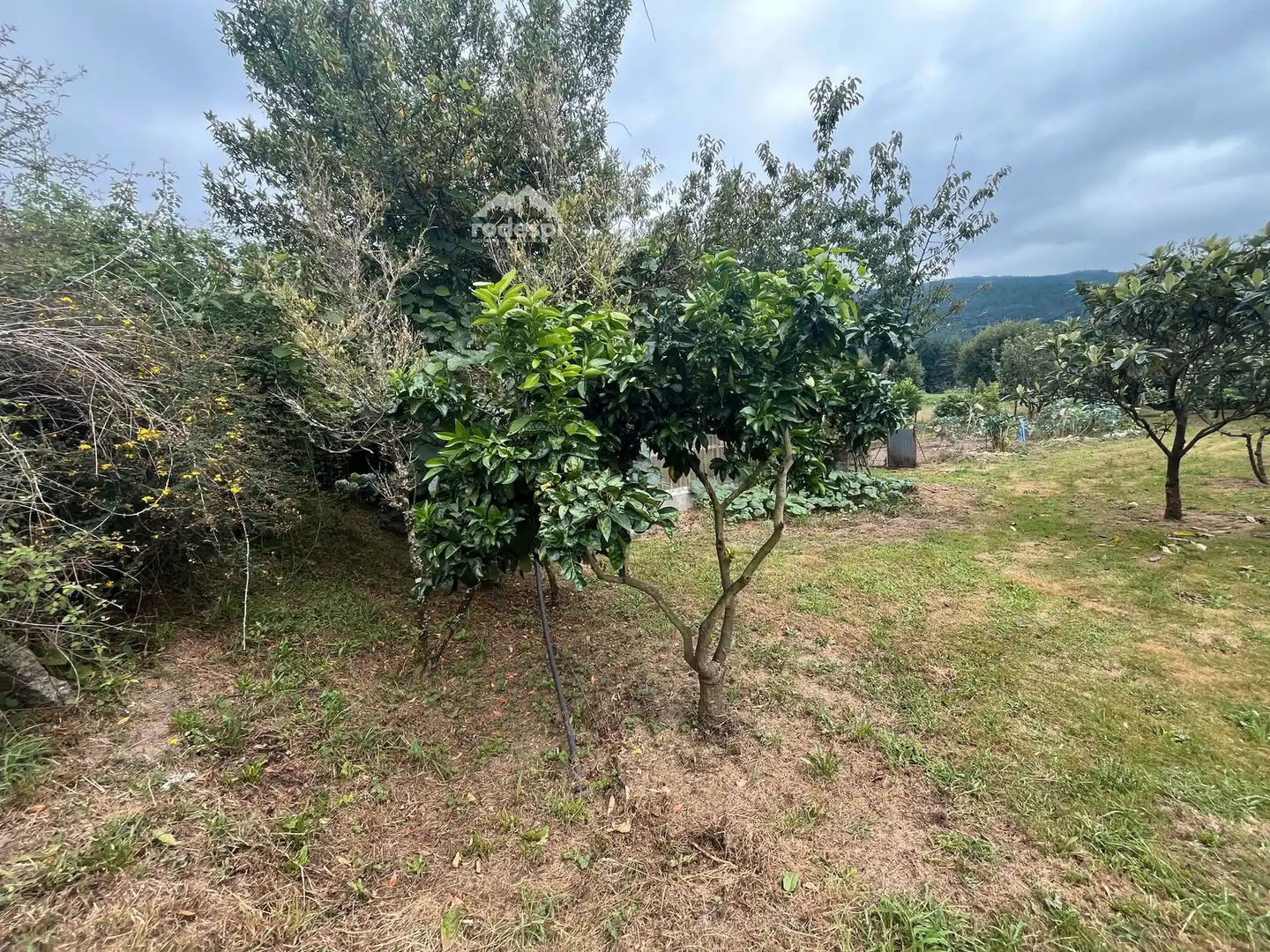 Rural land for sale in Covelo, imagen 7