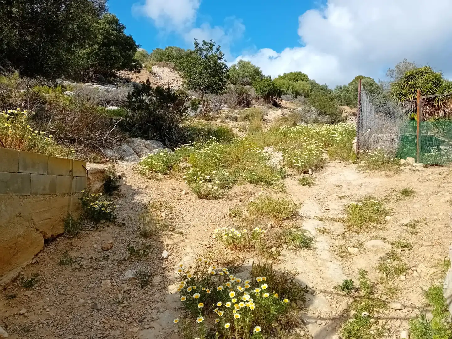 Casa rústica en venda a Llevantina - Montgavina - Quintmar, imagen 16