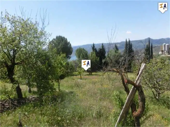 Villa à vendre à Rute, imagen 2