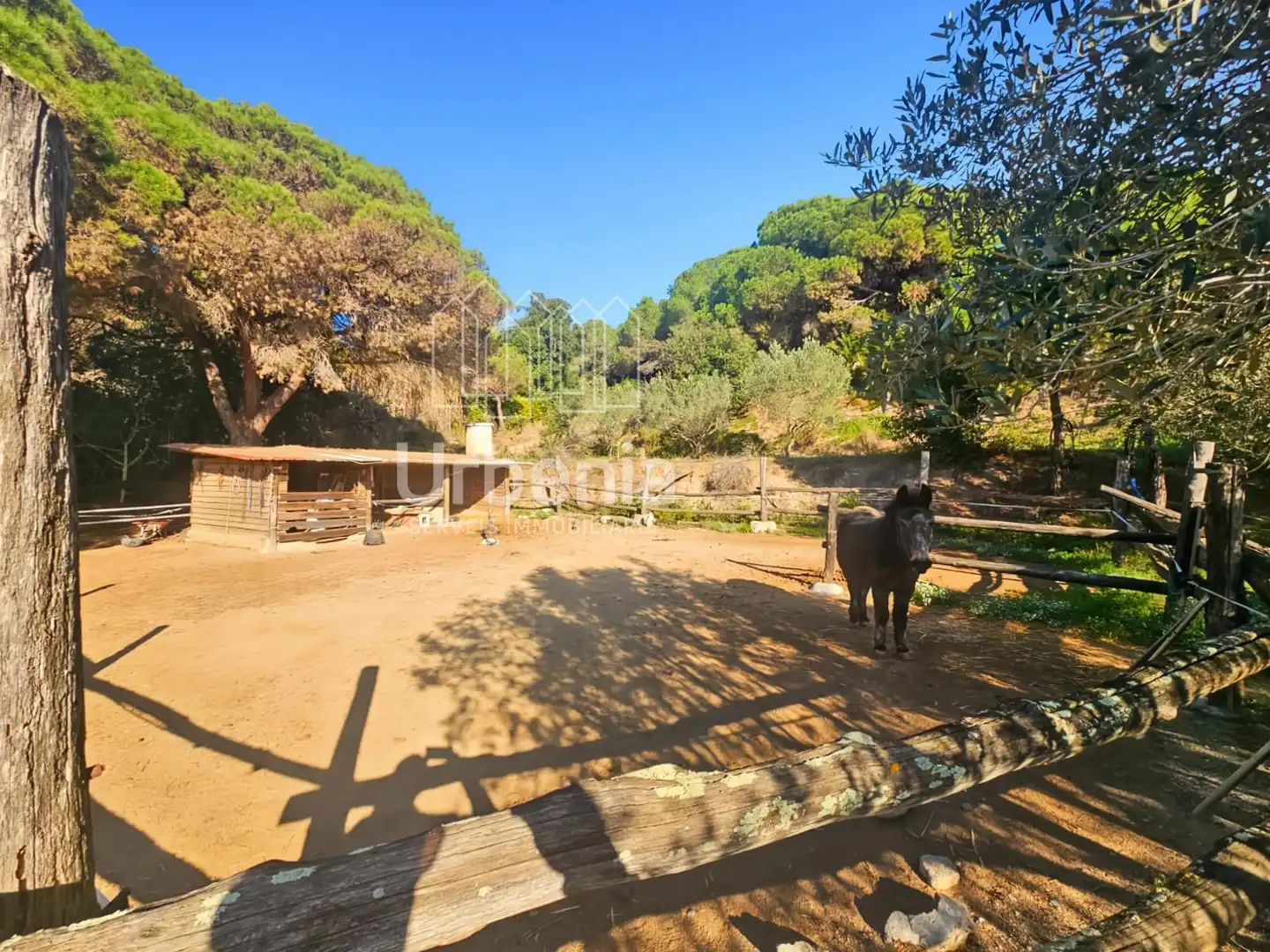 Jardín de Casa o chalet en venta en Arenys de Mar