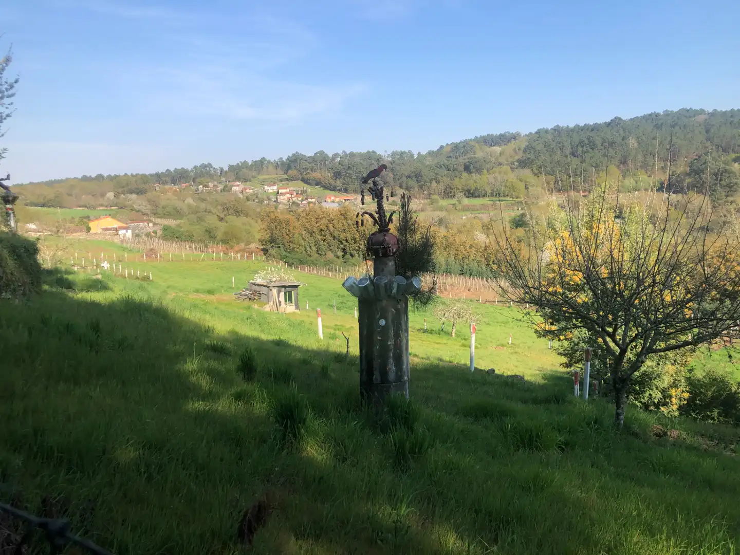 Casa o chalet en venta en San Amaro