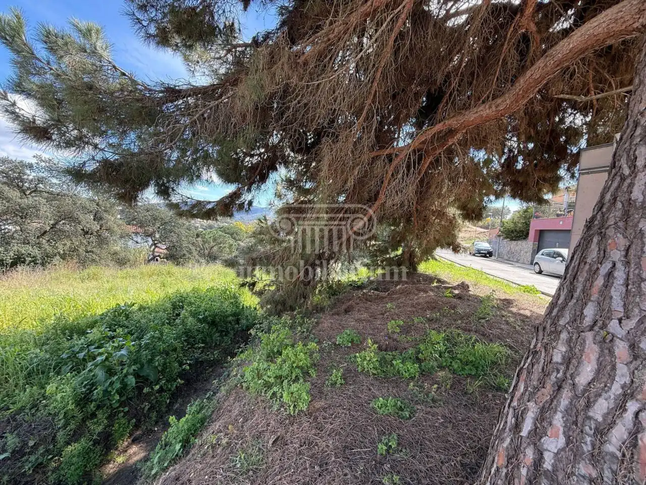 Terreno rústico en venta en Alella, imagen 18