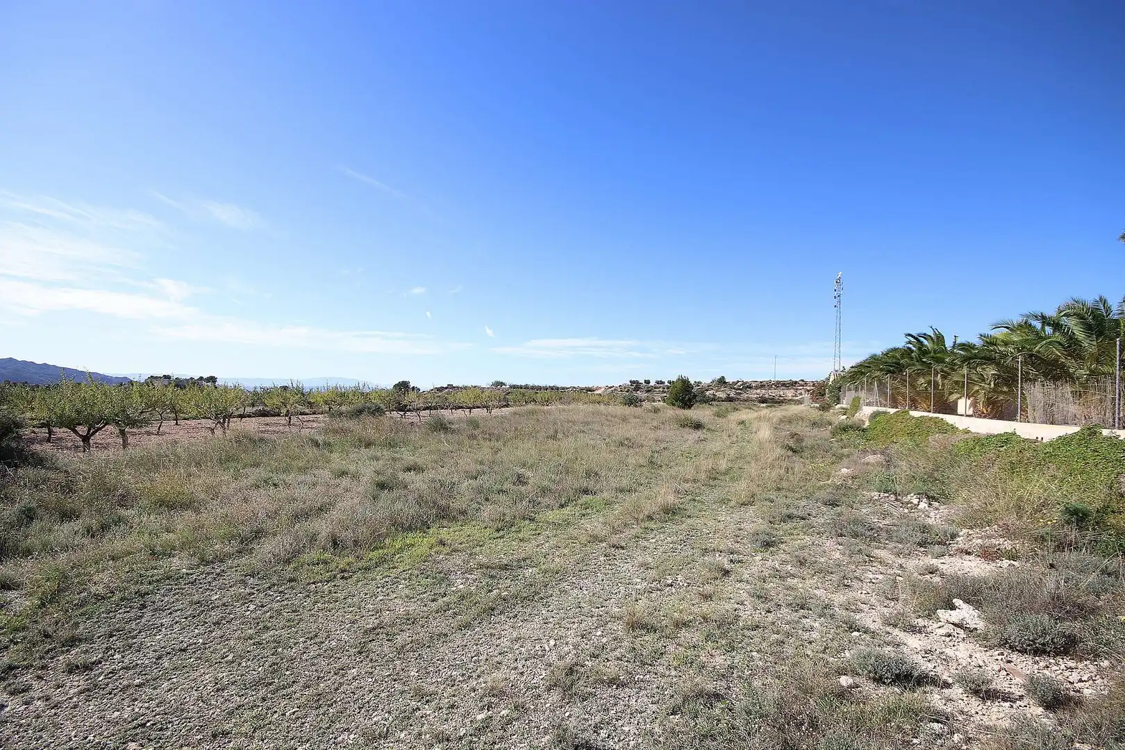 Terrenys i solars en venda a Abanilla, imagen 5