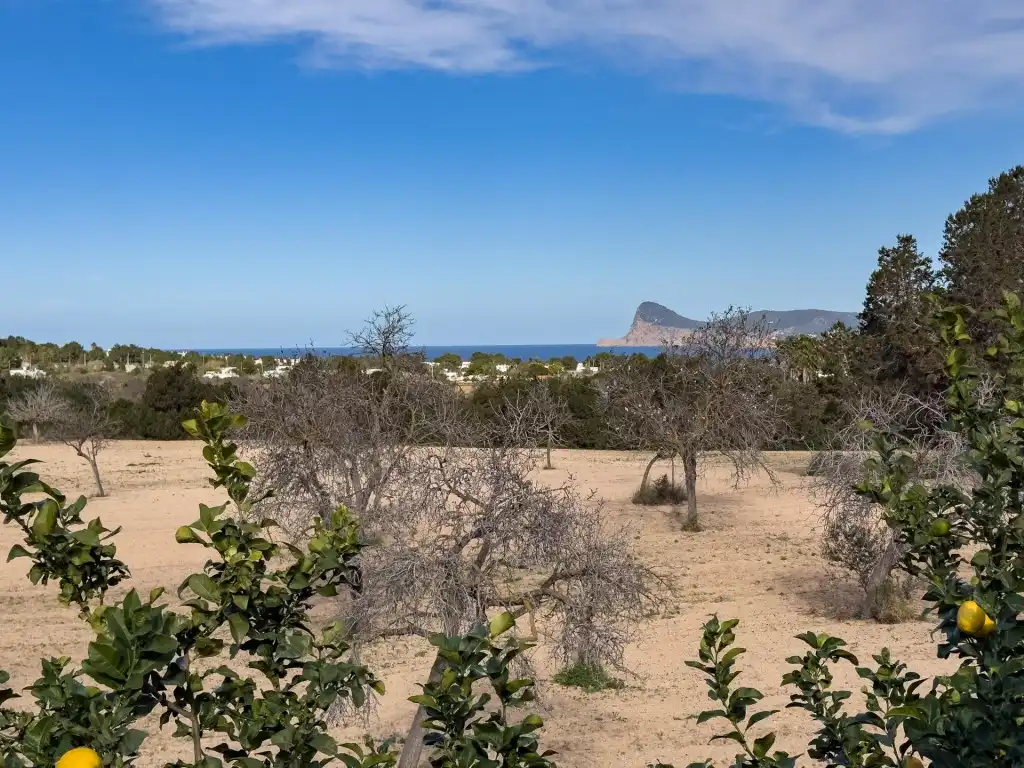 Villa mit Garten zum Verkauf in Cala Vedella-Cala Tarida, imagen 35