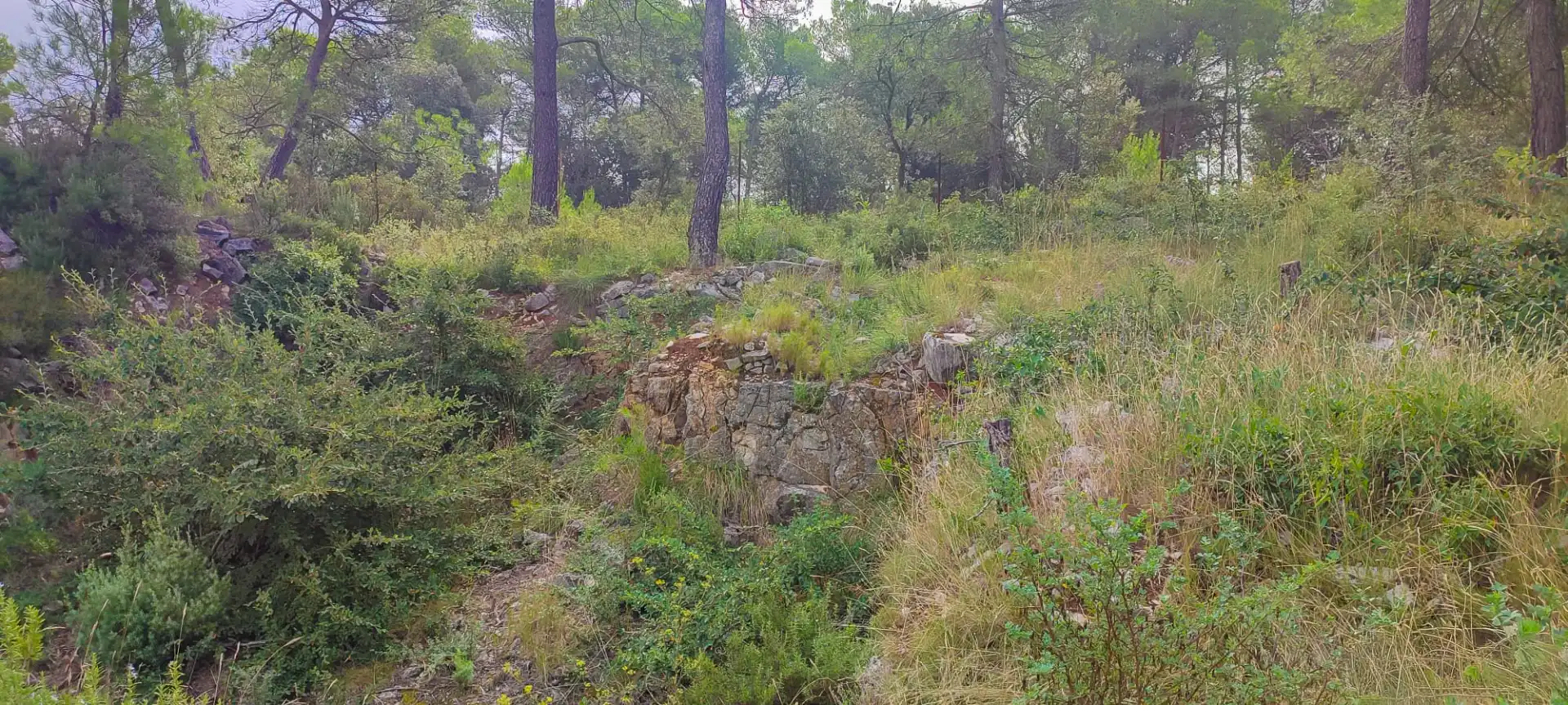 Terreny residencial en venda a Sant Vicenç de Castellet, imagen 8