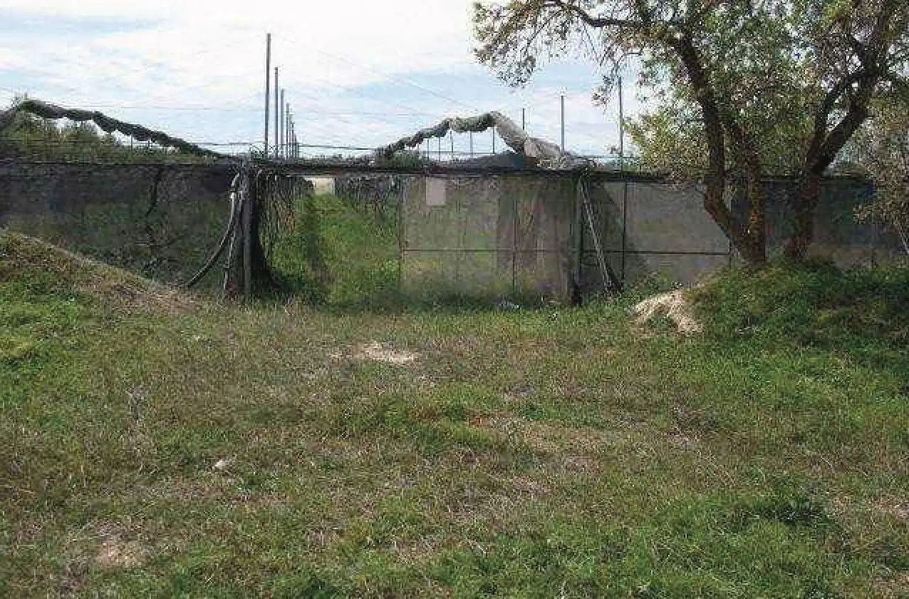 Rural land for sale in Cm Orce, imagen 18