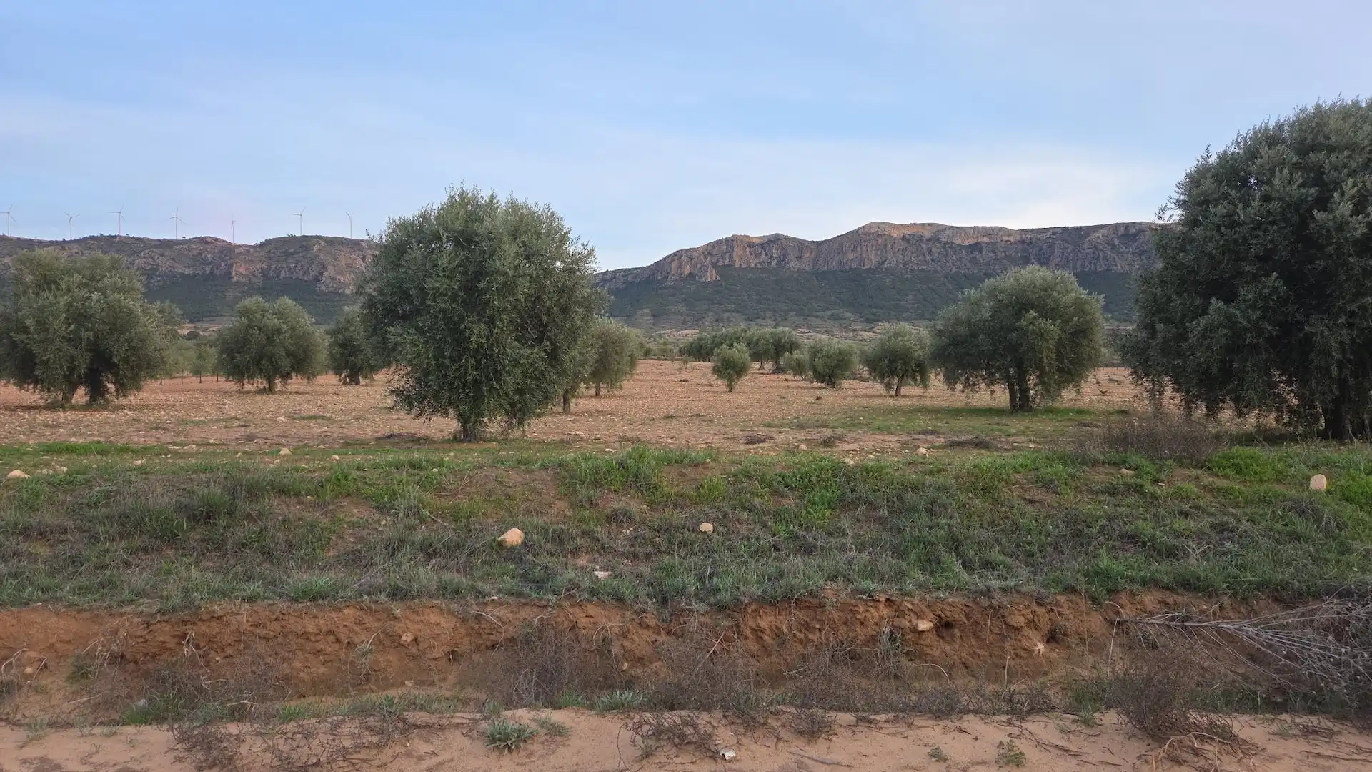 Terrenos y solares en venta en N/A, imagen 5