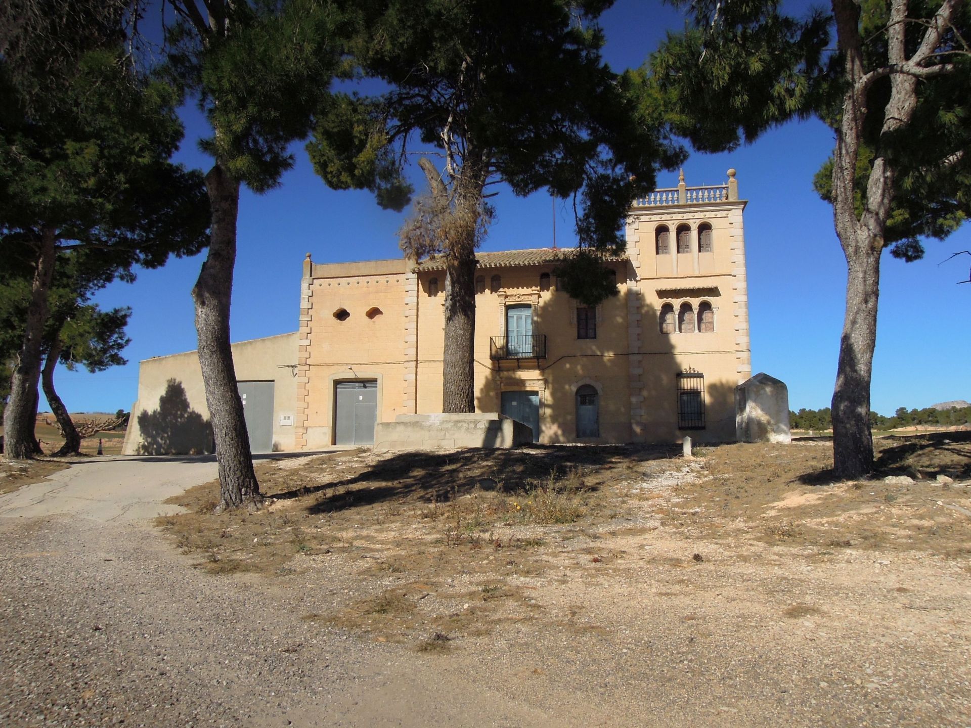 Exterior view of House or chalet for sale in Villena  with Private garden