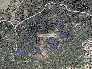 Rural land for sale in FINCA RUSTICA CERRO JARRALON. Polígono 9 Parcela 98