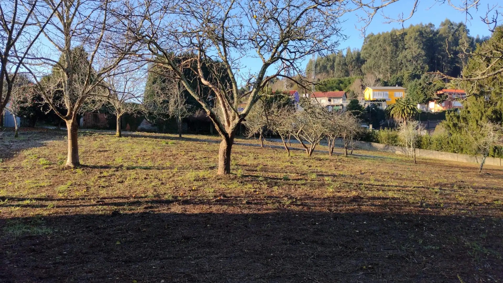 Terreni e lotti in vendita a Pontedeume, imagen 4