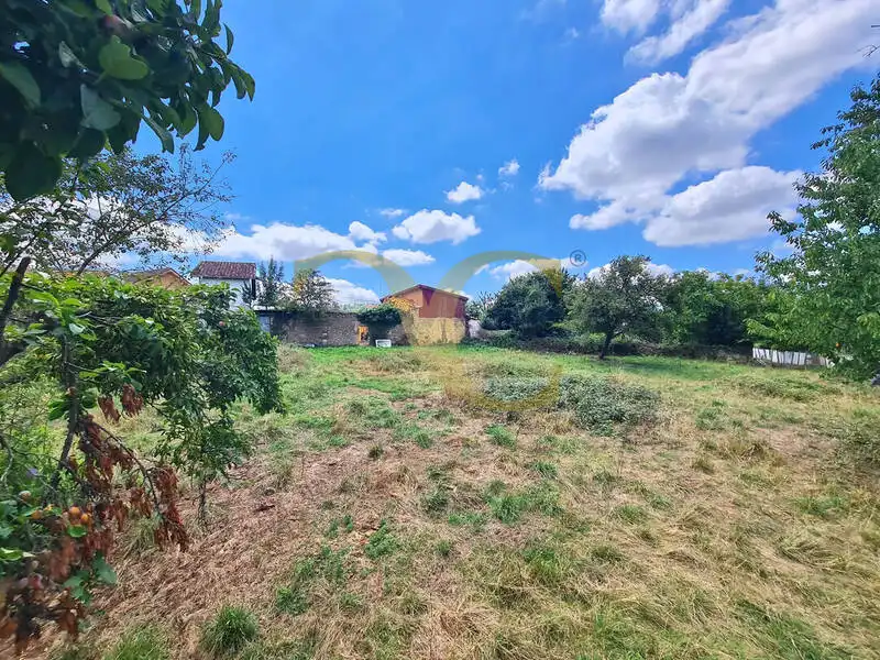 Terreny residencial en venda a El Monticu de Olivares, imagen 10