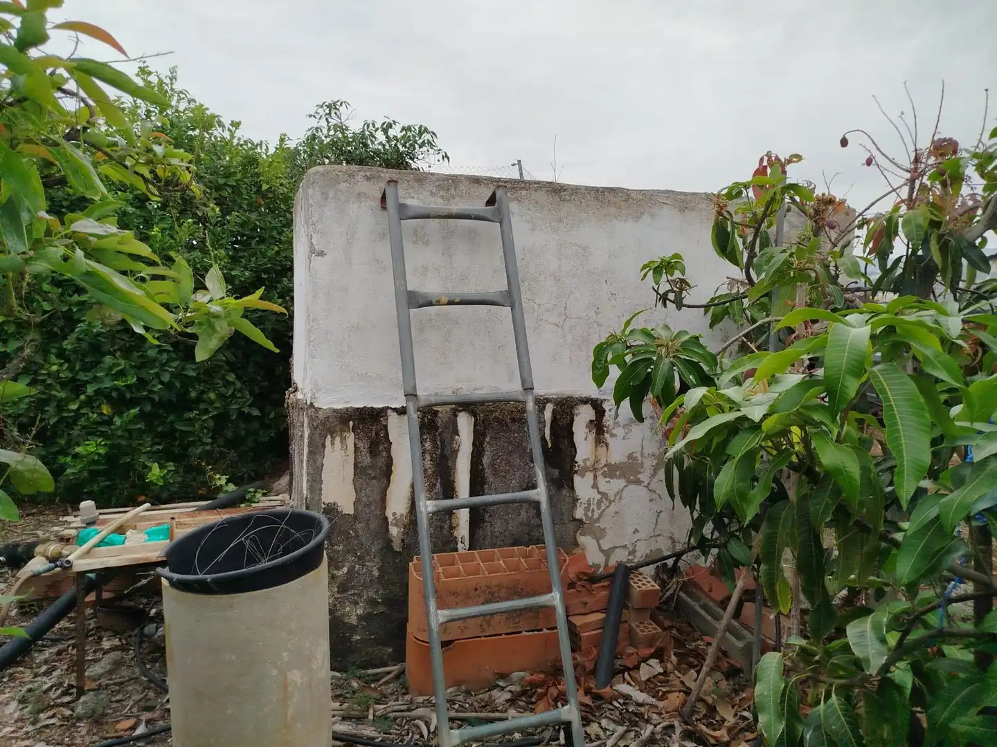 Terrain rustique à vendre à Vélez-Málaga ciudad, imagen 29