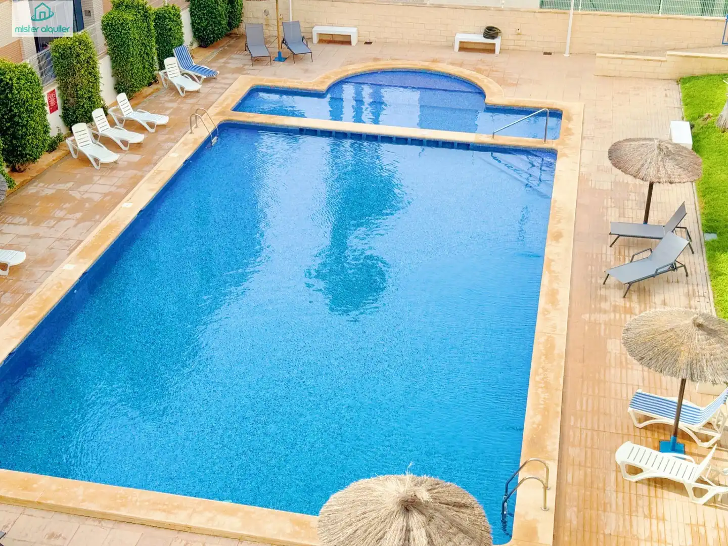 Piscina de Apartamento de alquiler en El Campello con Aire acondicionado, Jardín privado y Terraza