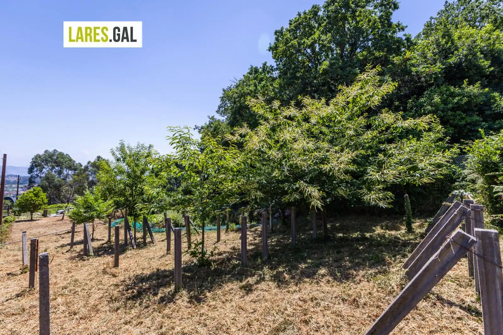 Lands and plots for sale in Ourelo, imagen 18