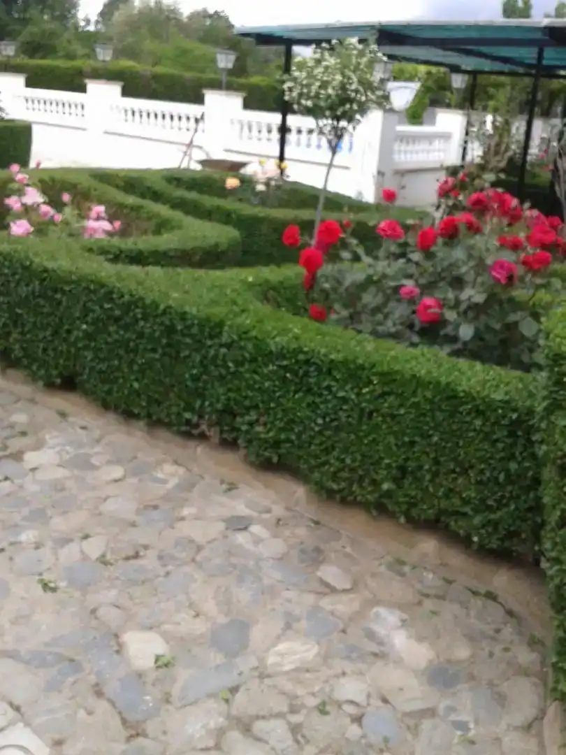 Jardín de Casa o chalet en venta en Valle del Zalabí, Granada