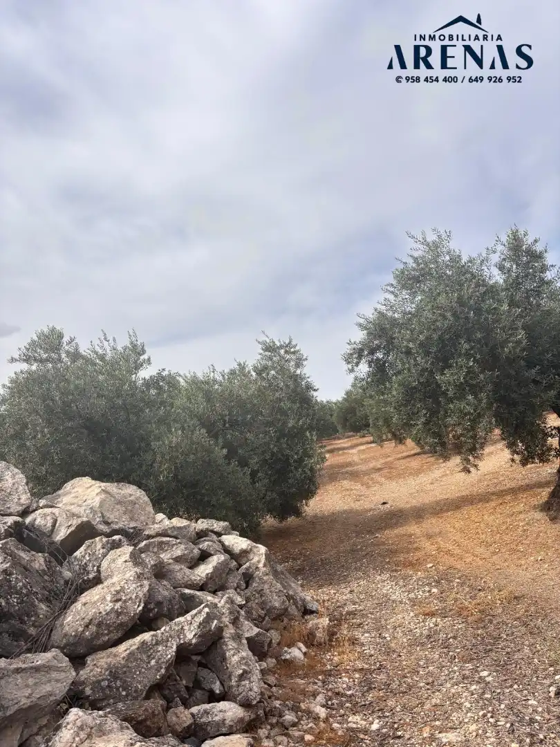 Rustikales Grundstück zum Verkauf in Calle Pozo de Íllora, imagen 4