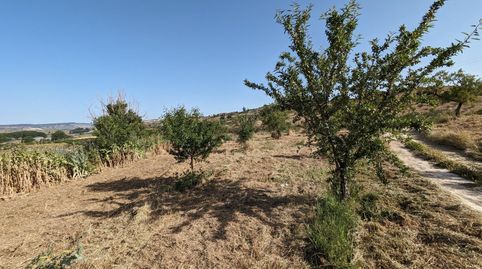 Se ponen en venta 25834, para construir en pleno pueblo de Jayena, immagine 3