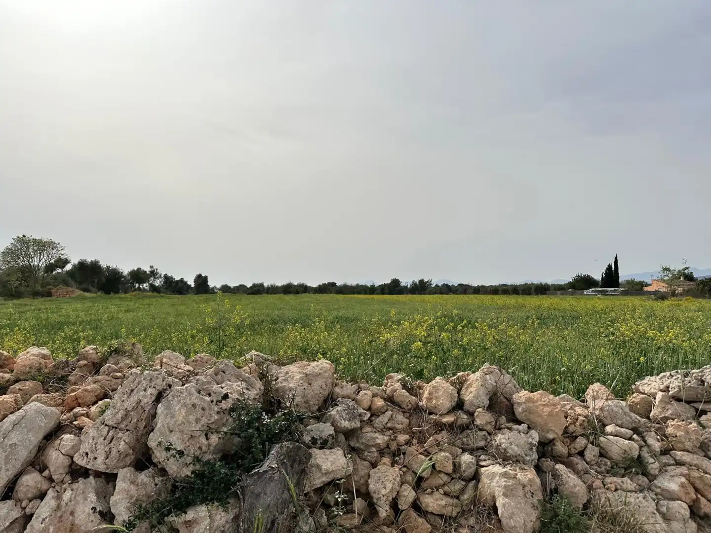 Country homes for sale in Algaida  with Private garden