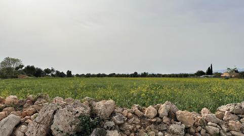 Foto 4 de Finca rústica en venda a Camí de Muntanya, Algaida, Illes Balears