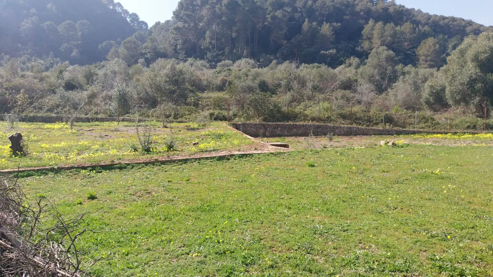 Finca rústica en venda en Barx