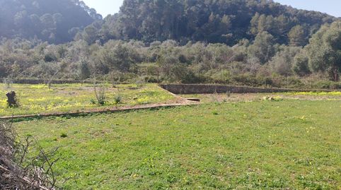 Foto 4 de Finca rústica en venda a Plaça Poligono 08, Barx, Valencia