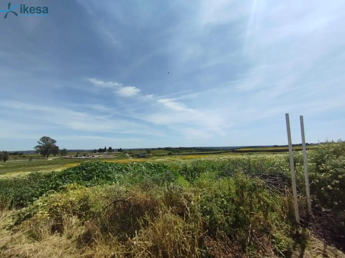 Terreni e lotti in vendita a Alosno pueblo, imagen 6