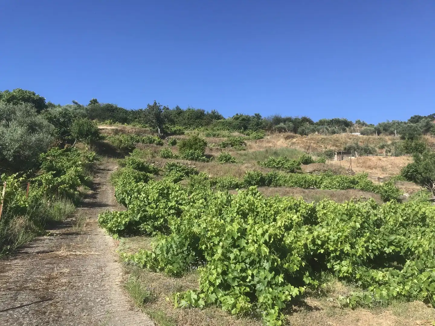 Terreni e lotti in vendita a Malpartida de Plasencia, imagen 2