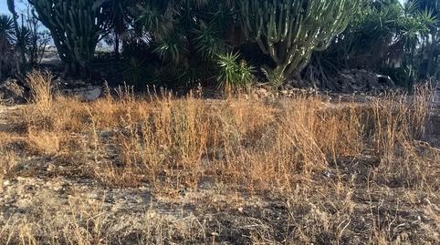 Foto 4 de Finca rústica en venda a Camino Lo Jurado Valladolises, Valladolises y Lo Jurado, Murcia