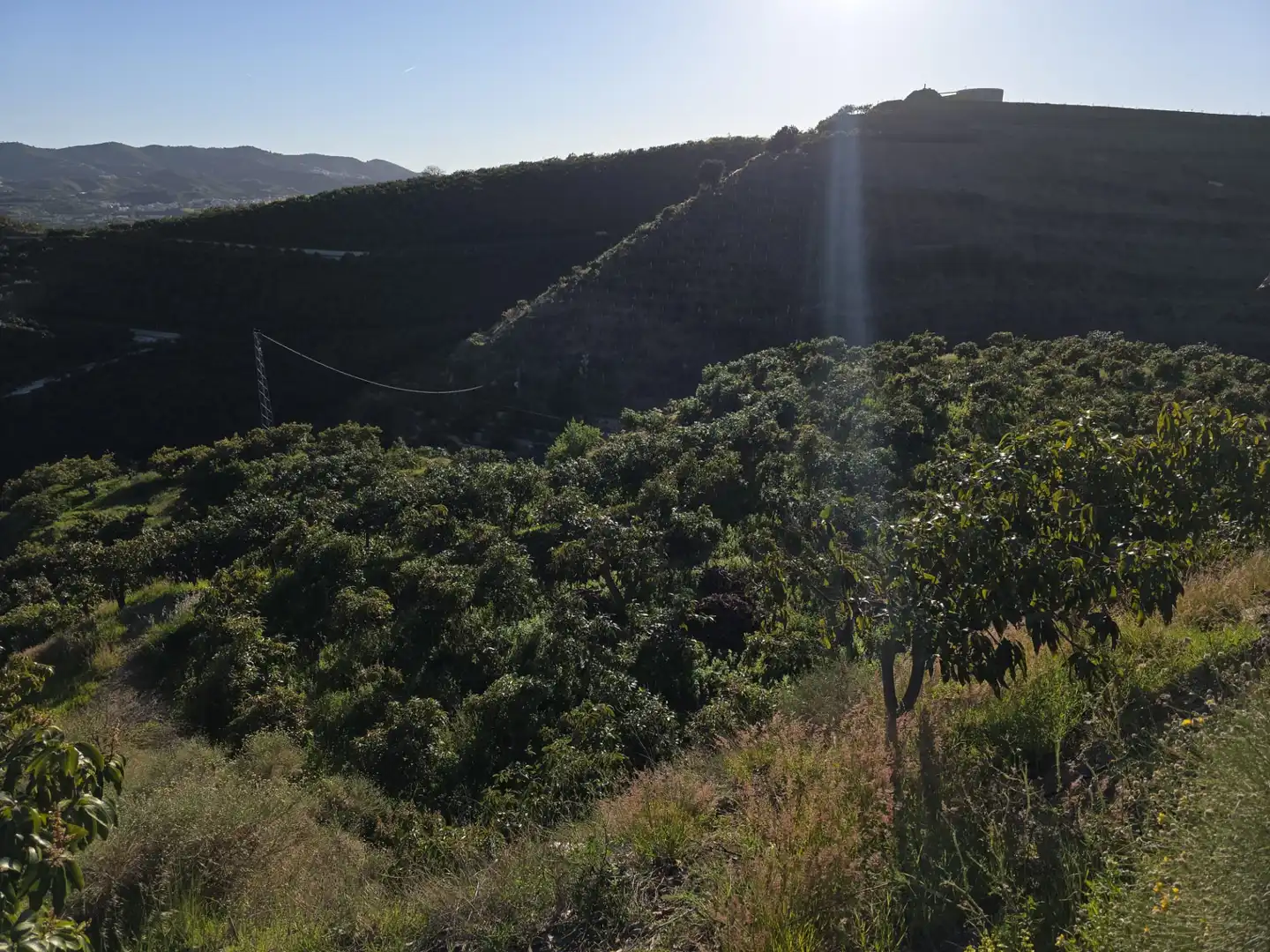Terreny rústic en venda a Diseminado Atalaya Baja, imagen 3