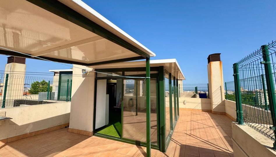 Photo 1 of Attic for sale in Son Cotoner, Illes Balears