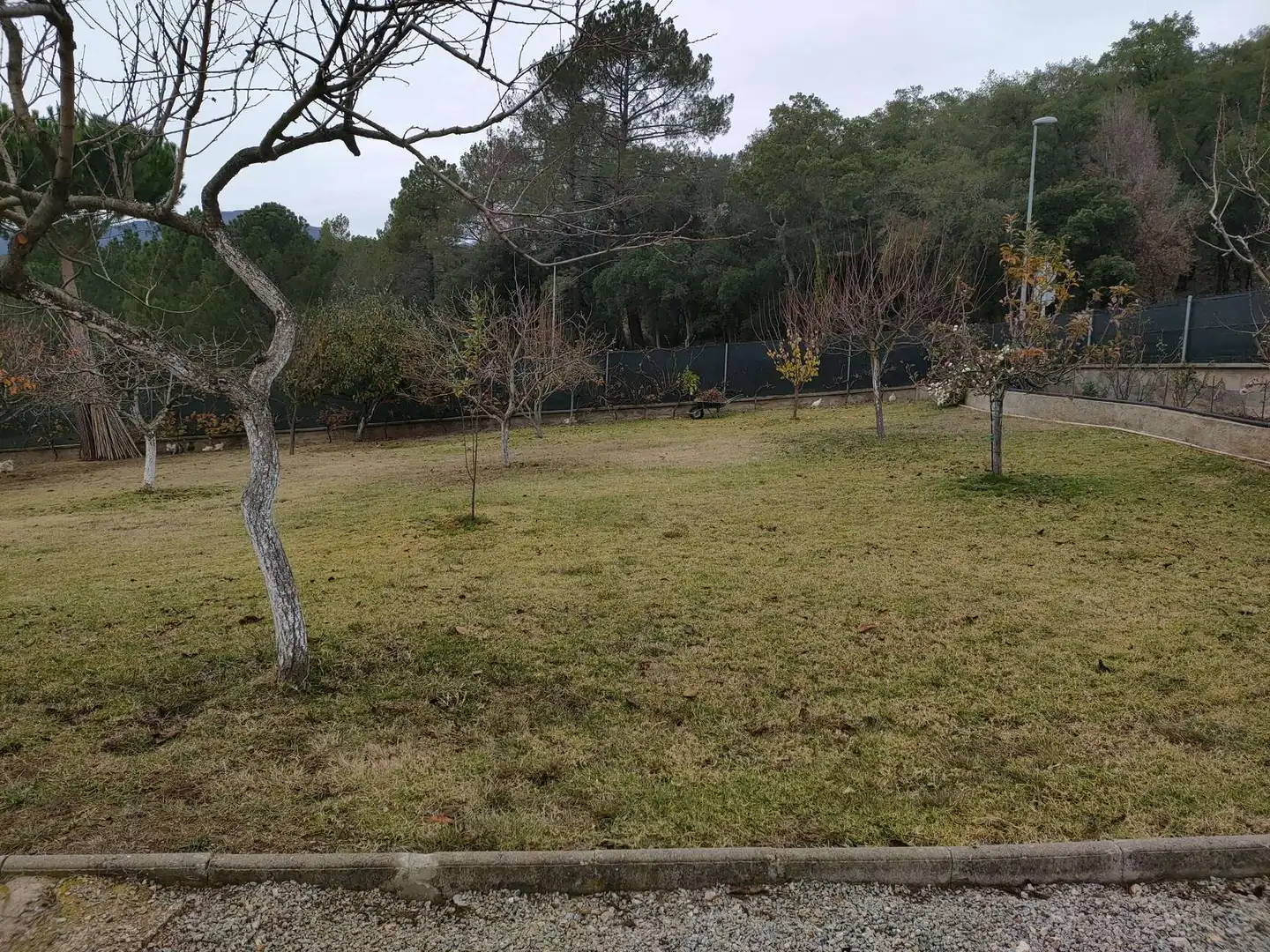 Casa o xalet en venda en Sant Feliu de Buixalleu amb Aire condicionat, Calefacció i Terrassa