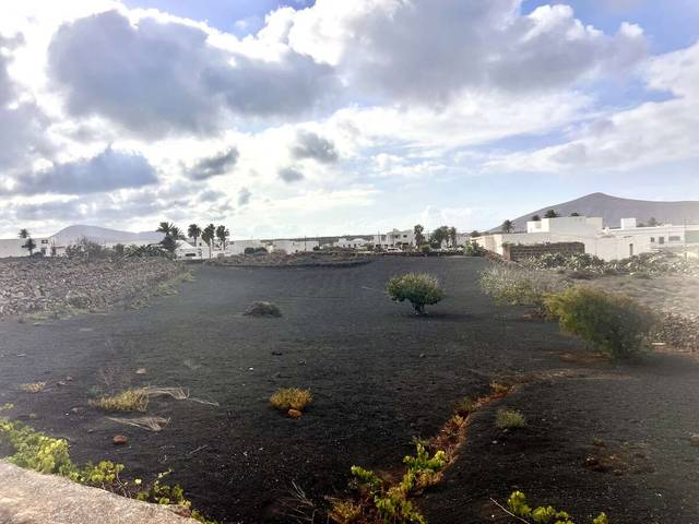 Terreno en Venta en Tinajo