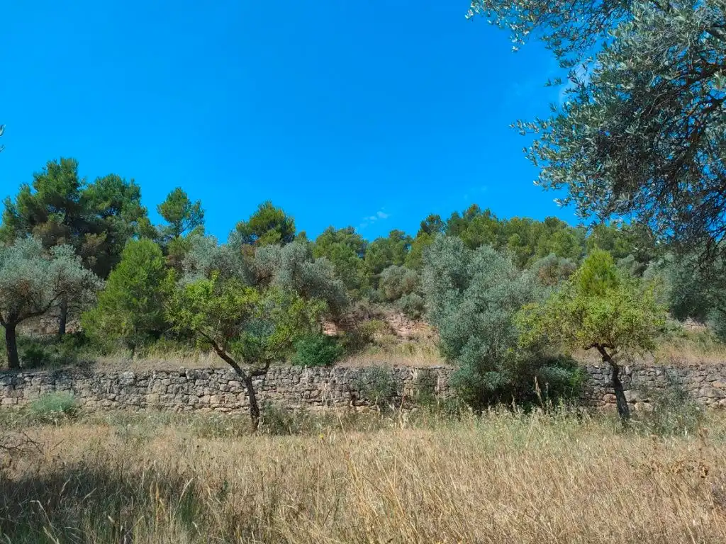 Terreni e lotti in vendita a Arens de Lledó, imagen 2